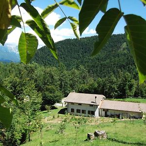 Bed and Breakfast Bosco Delle Rune ..Un Angolo Di Paradiso à Platischis Exterior photo