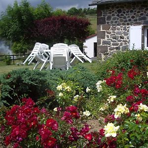 Bed and Breakfast ferme de Lamourio à Saint-Cernin  Exterior photo