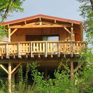 LES MATHIEUX la cabane du Parc Bongheat Exterior photo