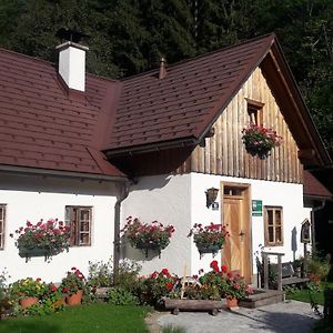 Villa Ferienhaus Lenzau à Strohmarkt Exterior photo
