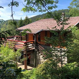 Villa Chalet Braunkopf Alsace à Muhlbach-sur-Munster Exterior photo