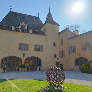 Bed and Breakfast Château de la Venerie à Denicé Exterior photo