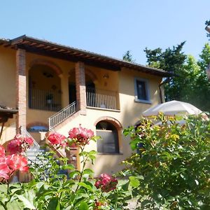 Villa Il Gelso à Montopoli in Val dʼArno Exterior photo