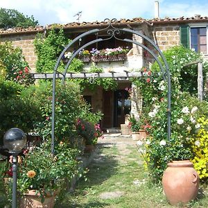 Le Querciolaie Monte Cavallo - lower apartment Saturnia Exterior photo