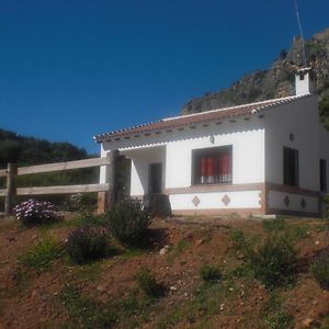 Villa La Solana De Turon. La Coscoja. à Ardales Exterior photo
