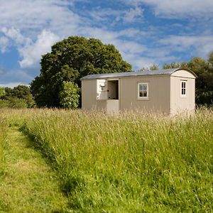 Villa Romantic Secluded Shepherd Hut Hares Rest à Southwick  Exterior photo