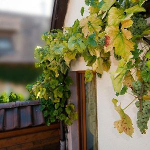 Weingut Landmann Ferienwohnungen Fribourg im Breisgau Exterior photo