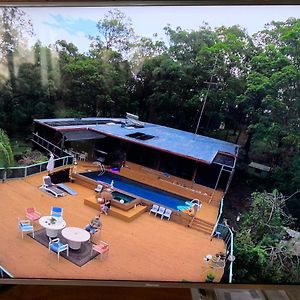 Bed and Breakfast Where The Forest Meets The Sea On The Gold Coast à Tallebudgera Exterior photo