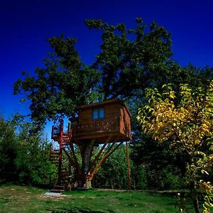 Bed and Breakfast Casa Sull'Albero Bocchineri à Rogliano Exterior photo