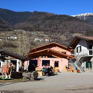 Villa Adda Vegia à Buglio in Monte Exterior photo