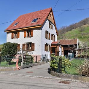 Spacieux et confortables gîtes à proximité randonnées, lacs, ski nature Sondernach Exterior photo