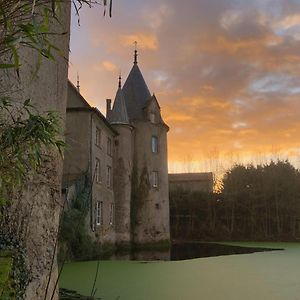 Chateau de la Preuille Gites Montaigu-Vendee Exterior photo