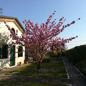 Hotel Casa Pianta à Cavallino-Treporti Exterior photo