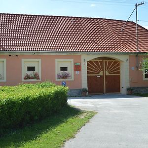 Hotel Ubytovani U Zimu à Vodňany Exterior photo