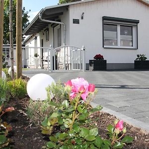 Villa Ferienhaus Gluecksmoment à Blankenburg  Exterior photo