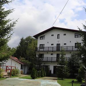 Hotel Pensiunea Q à Fieni Exterior photo