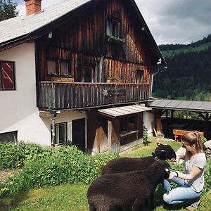 Villa Zauneralm à Aich  Exterior photo