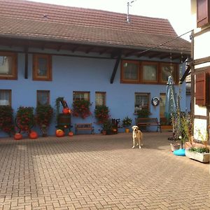 Mélodies d'Alsace Lipsheim Exterior photo