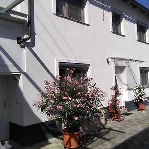 Appartement Ferienhaus Fam. Bisgen à Niederkirchen bei Deidesheim Exterior photo