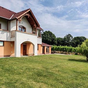 Villa Vinox Winery à Vinica Exterior photo