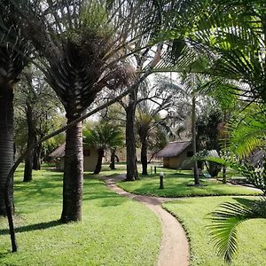 Villa Shumba Safaris Bush Camp à Hoedspruit Exterior photo
