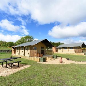 Villa Carr'S Hill Luxury Safari Tents à Denny Room photo