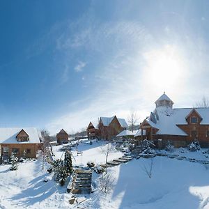 Hotel Новий Сезон à Vyshka Exterior photo