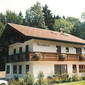 Appartement Spechthaeusl à Bayerisch Gmain Exterior photo