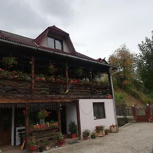 Hôtel Casa Cozorici à Sadová Exterior photo
