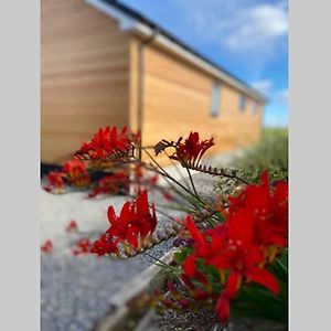 Villa The Gallafield, Self Catering Bungalow , Stornoway à Stornoway  Exterior photo