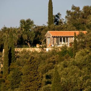 Villa Natur-Steinhaus Mit Meerblick: Hell, Ruhig, Exklusiv, Strandnah à Liapades Exterior photo