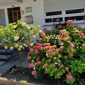 Appartement Gaestehaus Eissler à Helmsheim Exterior photo