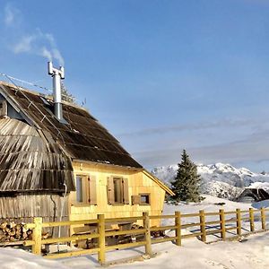 Villa Chalet Velika Planina-I Feel Alps à Stahovica Exterior photo
