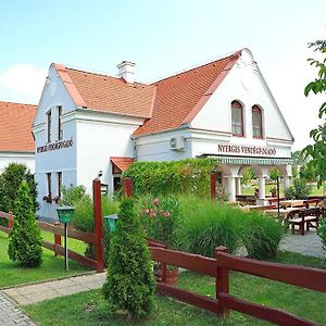 Bed and Breakfast Nyerges Vendégfogadó à Hegykő Exterior photo