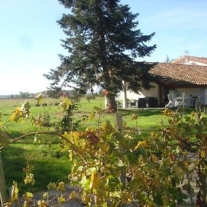 Villa La Petite Maison à Mazères Exterior photo