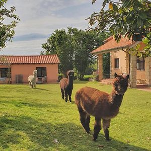 Hotel 3 Alpacas La Campa Exterior photo