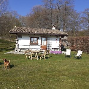 Villa Baita Tana Da L'Ors à Forgaria nel Friuli Exterior photo