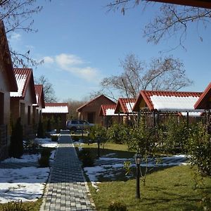 Kabalaka Cottages Qabala Exterior photo