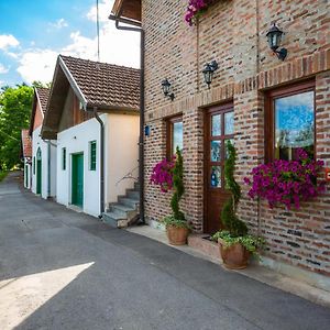 Maison d'hôtes Podrumi Kolar "Suza Baranje" à Kneževi Vinogradi Exterior photo