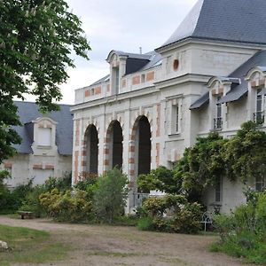 L'Orangerie du Château - LE NID - GITE 2 Personnes Brain-sur-Allonnes Exterior photo