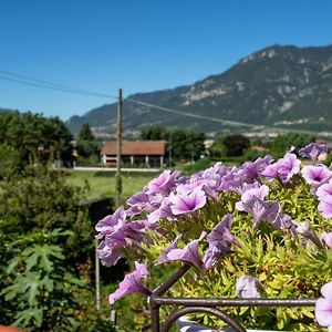 B&B Al Cortile Del Bertolet Pian Camuno Exterior photo