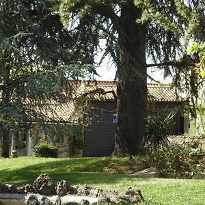 Bed and Breakfast La Blanchisserie à Le Puy-Saint-Bonnet Exterior photo