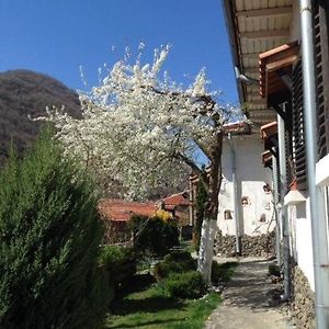 Hotel Kesta Za Gosti Spasitelna à Brezhani Exterior photo