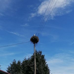 Schwarzwald Appartement Steinen  Exterior photo