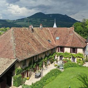 Domaine de Bellevue Gîte du Mont Begon Marnoz Exterior photo