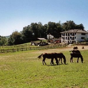 Bed and Breakfast Favetto Family Ranch à Rueglio Exterior photo