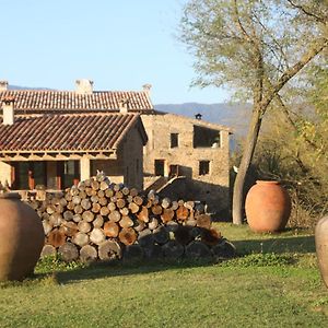 Villa Mas Planadevall à Santa Pau Exterior photo