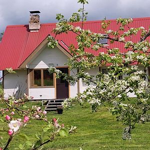 Villa Mesikamaee Saunamaja à Põlva Exterior photo