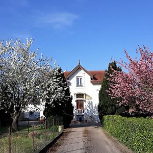 Bed and Breakfast La Maison Mirabeau à Verdun Exterior photo