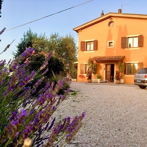 Hotel Locanda Della Lavanda à San Clemente  Exterior photo